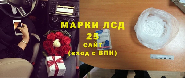 прущие грибы Балахна