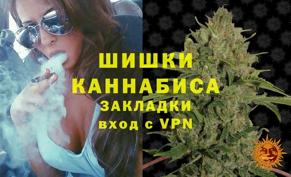 прущие грибы Балахна