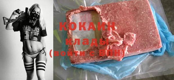 прущие грибы Балахна