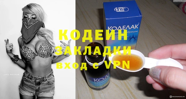прущие грибы Балахна
